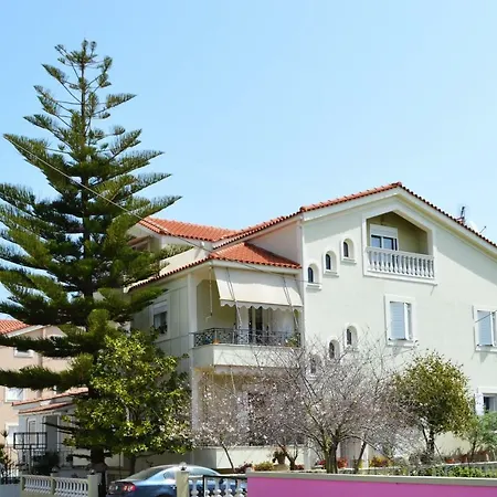 Araucaria Lixouri